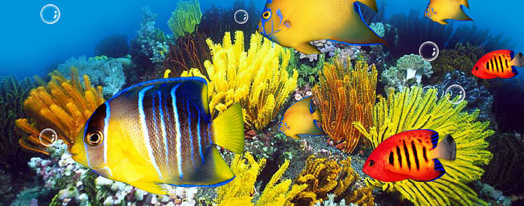 VR技術，虛擬現(xiàn)實